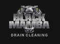 Black Mamba Drain Cleaning logo